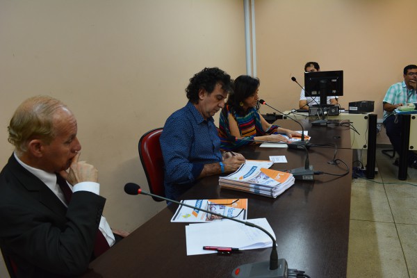 Vice-presidente da Febrafite participa de audiência sobre a Lei Kandir