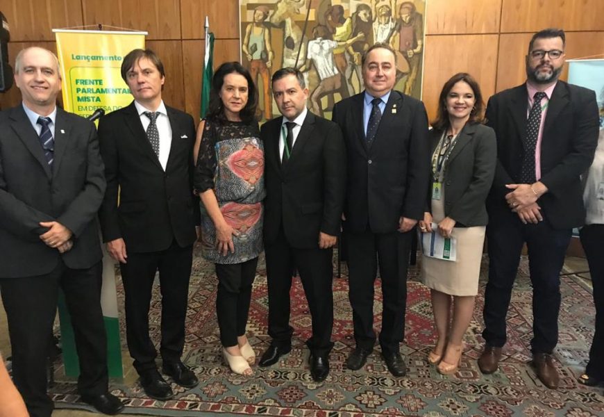 Febrafite participa de atos por alterações na reforma da Previdência e em defesa do serviço público