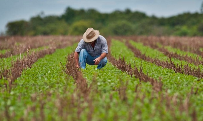 Receita Estadual prorroga prazos relacionados ao talão de produtor rural